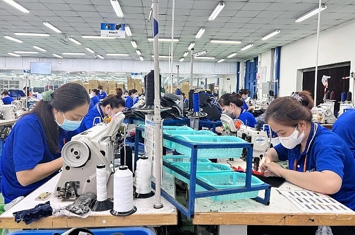 Mekong Delta urged to strengthen connectivity to attract FDI firms